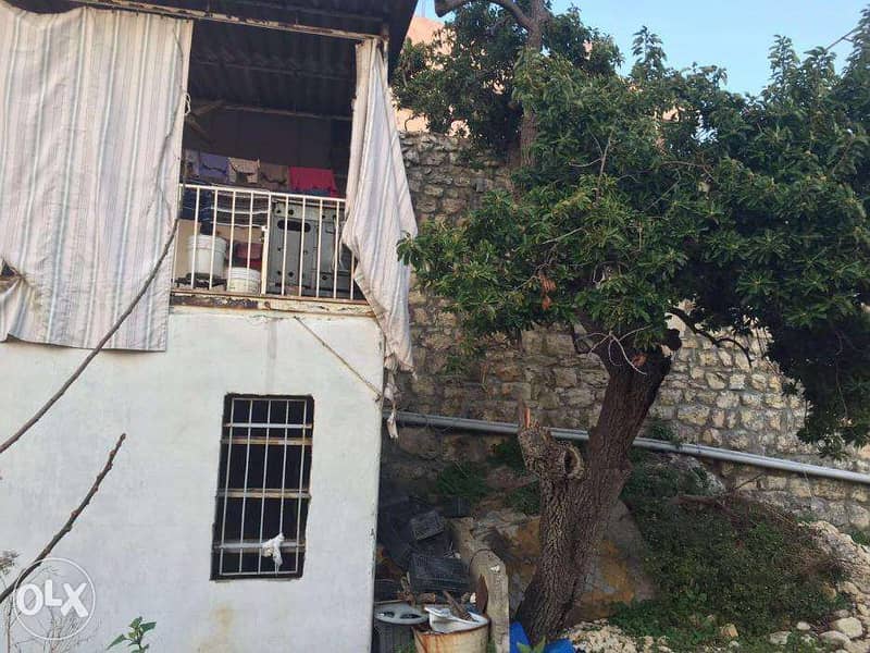 L08745 - Land with a Small Old House in Bouar for Sale 3