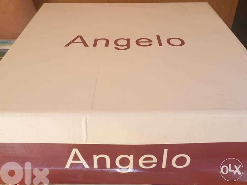 Angelo ankle boots 1