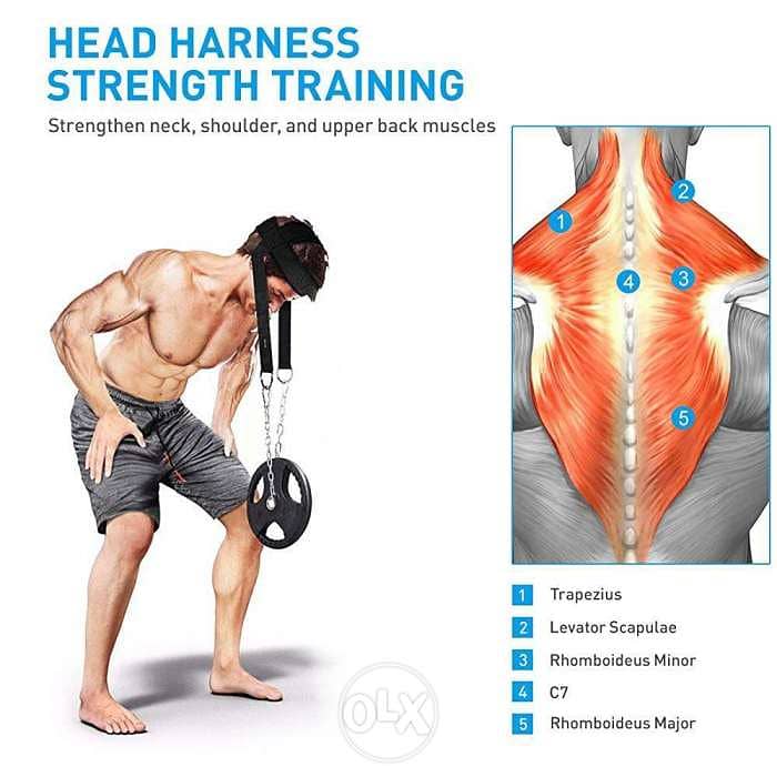 Neck harness for Weight Training 0