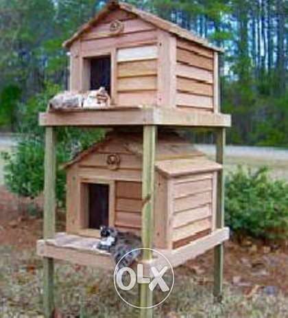 Outdoor cats home 2