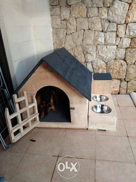 Dog house different sizes 2