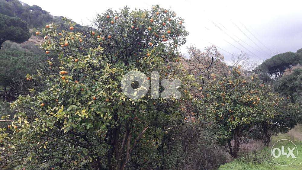 1996 Sqm | Land for sale in Mansourieh / Aylout | Mountain view 1