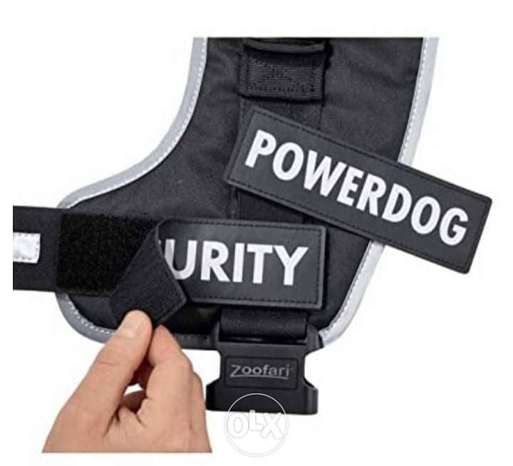 Zoofari Dog Harness / 4$ delivery 1