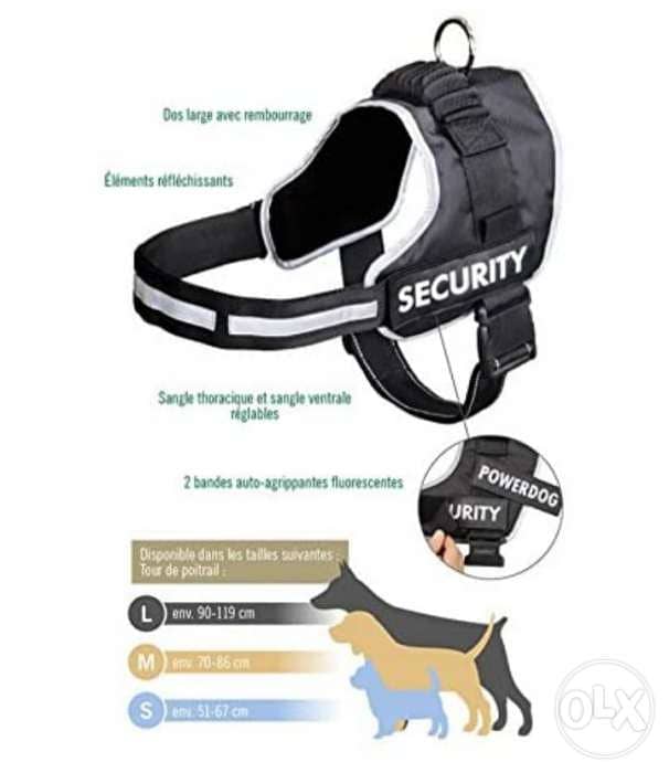 Zoofari Dog Harness / 4$ delivery 2