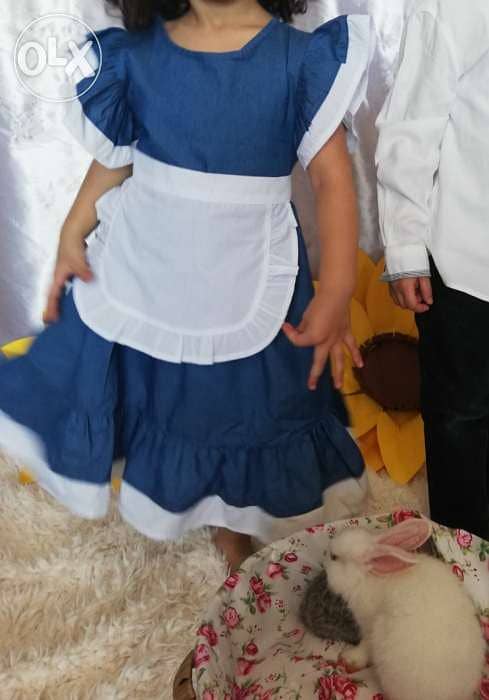 فستان ريترو للتصوير 2