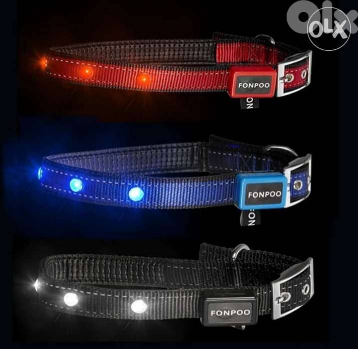 Fonpoo 8000 jewellery items Bottle LED Dog Collar/4 $ Delivery 1