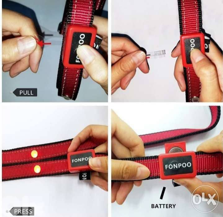 Fonpoo 8000 jewellery items Bottle LED Dog Collar/4 $ Delivery 2