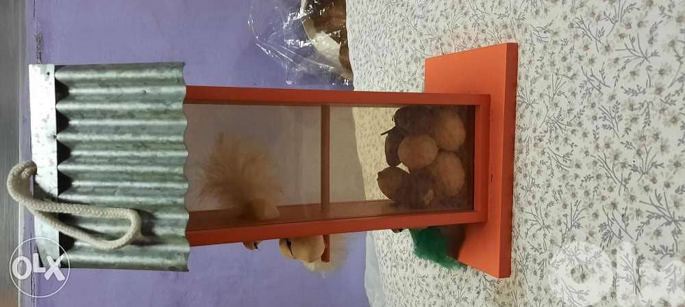Birds House decoration. 3