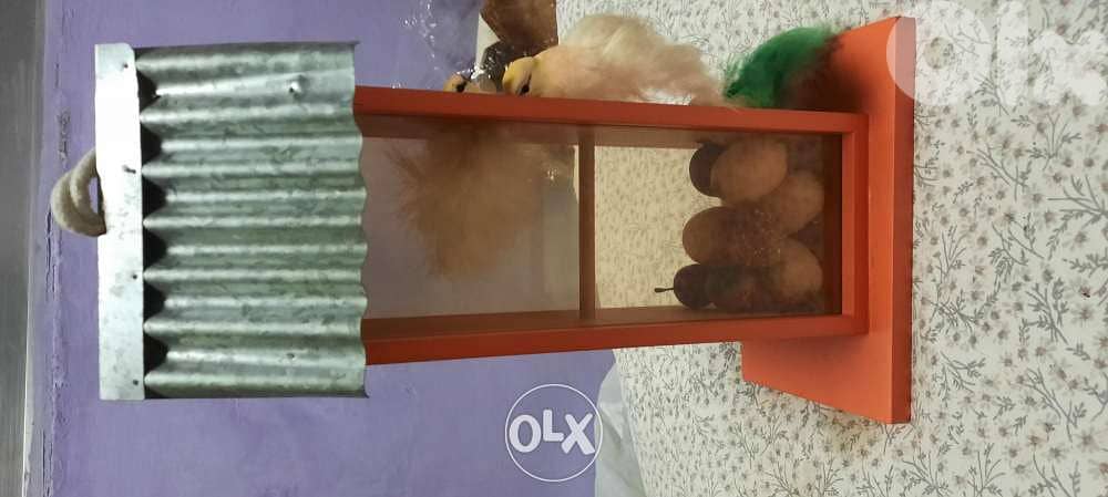 Birds House decoration. 4