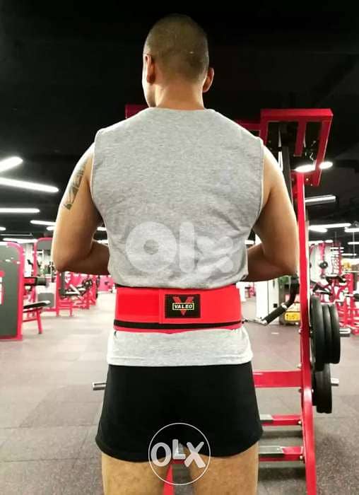 Weightlifting belt 1