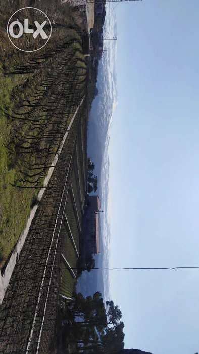 Arak baladi premium 1