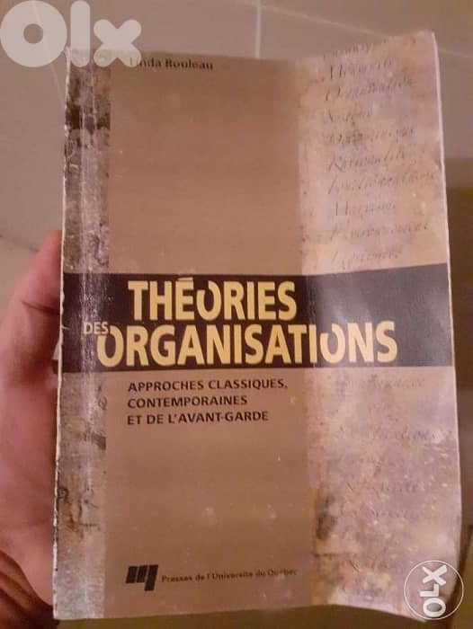 Theories des organisations 0