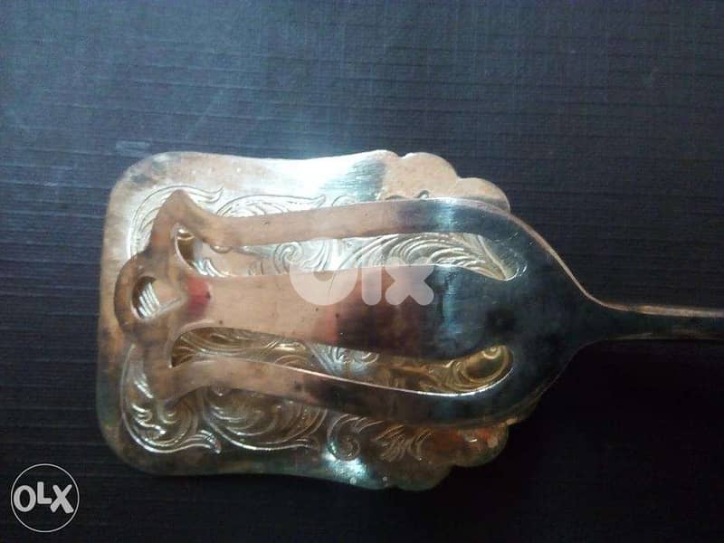 RAIMONDE Serving tong 2