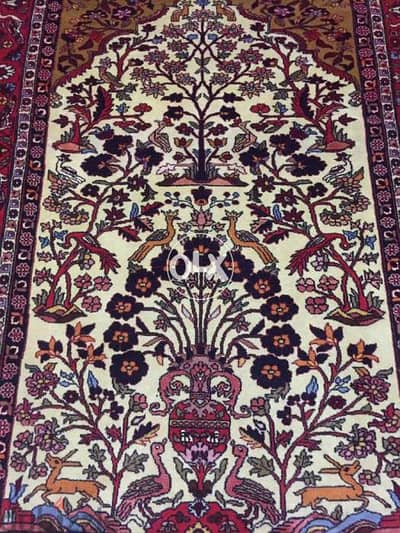 سجادة عجمية. شغل يدوي صوف. persian carpet. tapis. Hand made