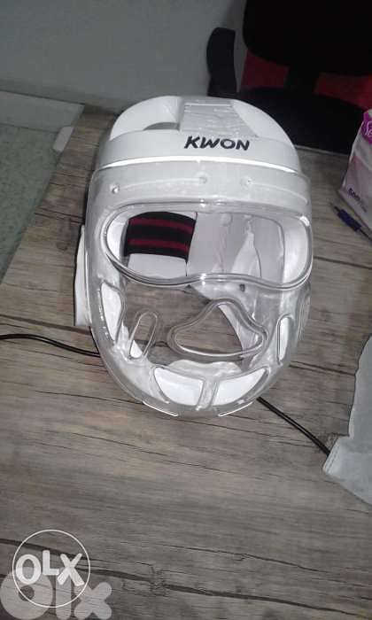 Face mask (all taekwondo accessories) 0