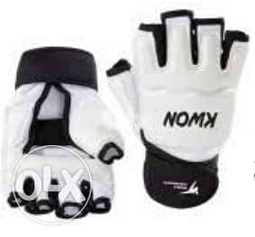 Taekwondo GLOVES (Kwon brand) 0