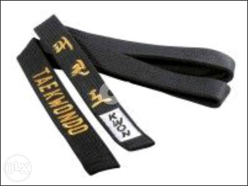 Black belt(kwon brand approved) 0