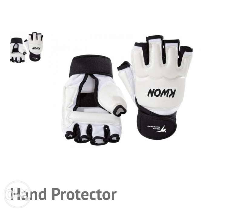 Taekwondo gloves(kwon brand approved) 0