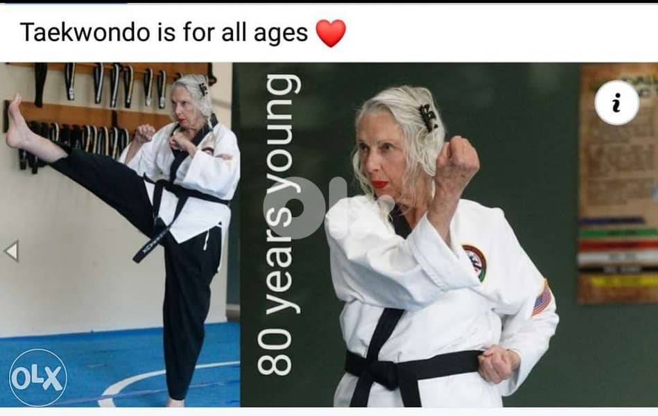 Cours particuliers de TAEKWONDO 0