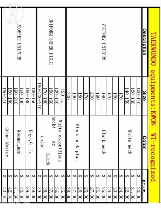 Protection de taekwondo 0