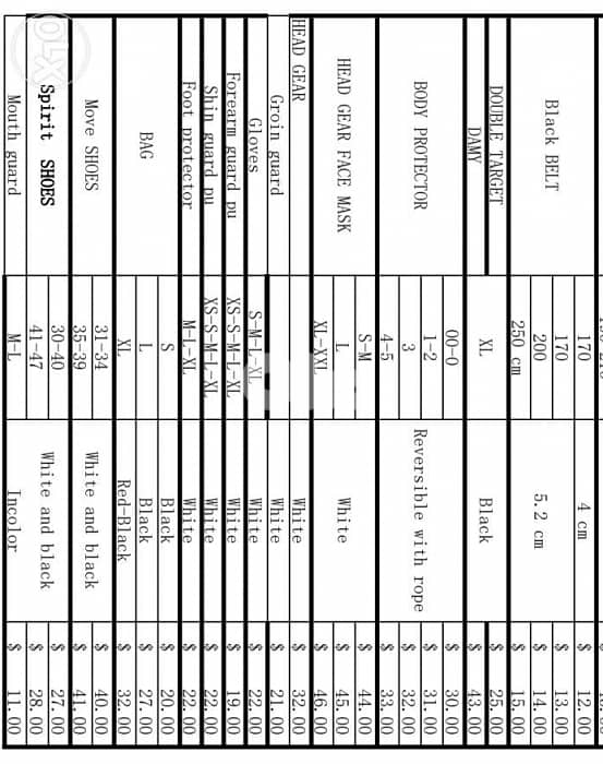 Protection de taekwondo 1