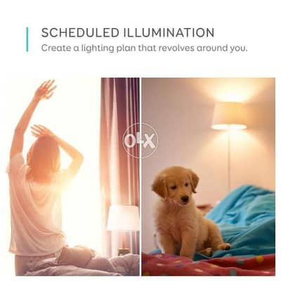 eufy Lumos Lamp Smart Bulb 2.0 Lite – White & Color 2