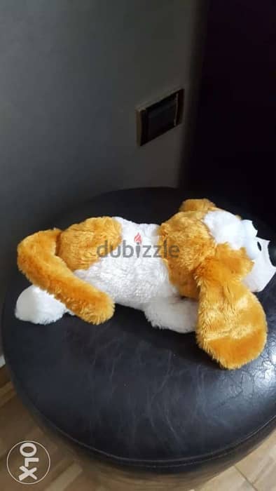 Cute laughing rolling doggy 2