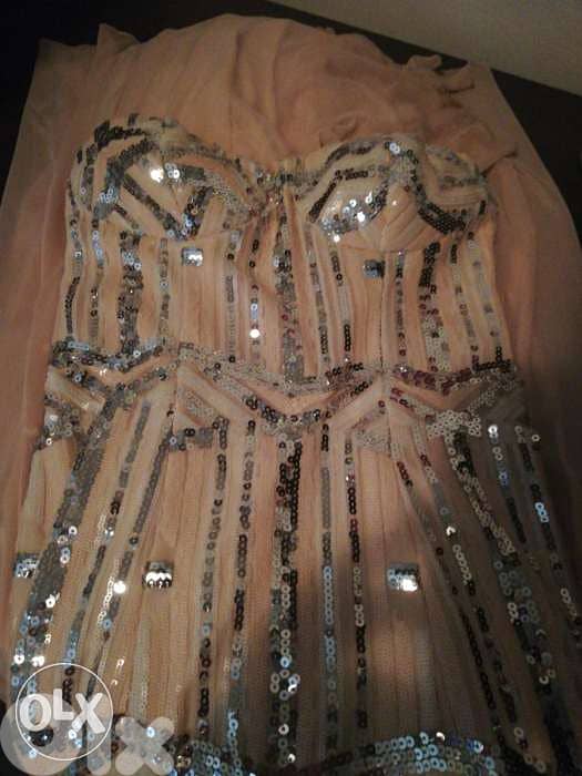 Strepless Light Pink and Silver dress. 1