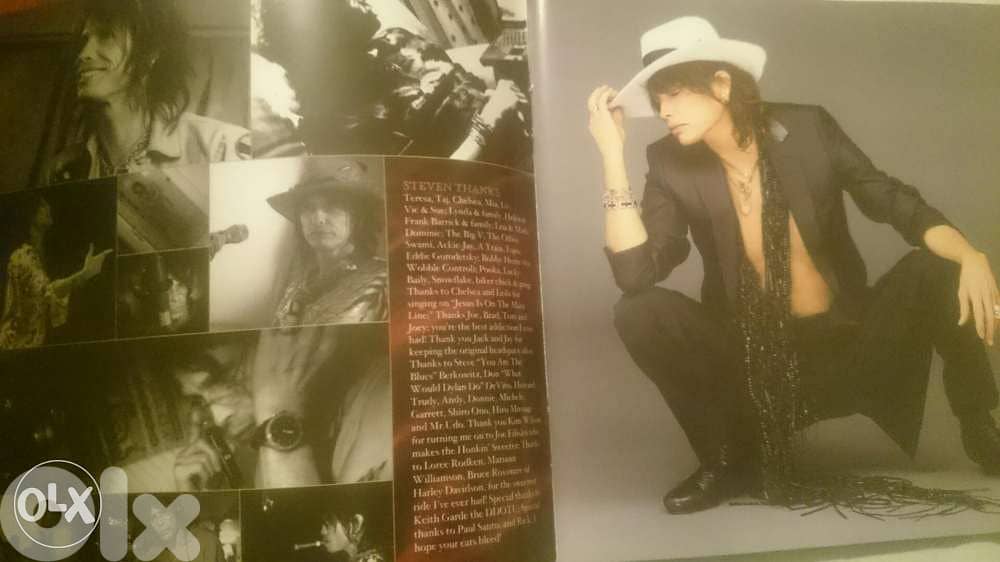 Aerosmith honking on bobo original audio cd 2