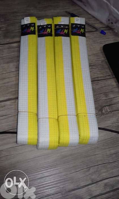 Taekwondo belt 0