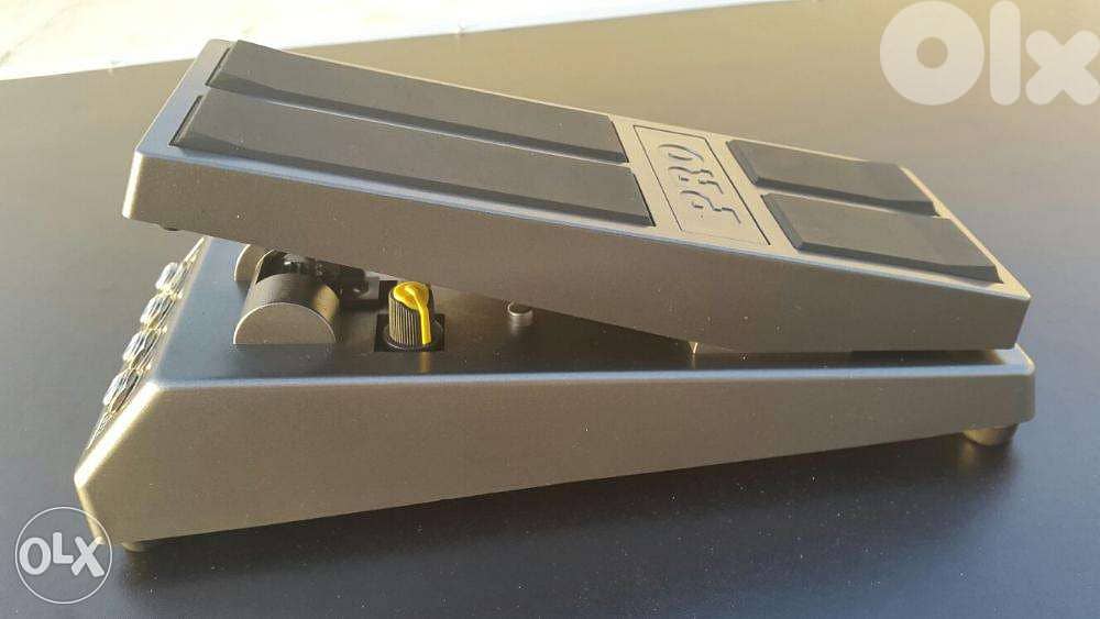 Korg Pro Special Pedal Pro Volume expression 1