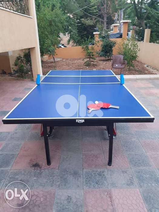 Ping pong table 0
