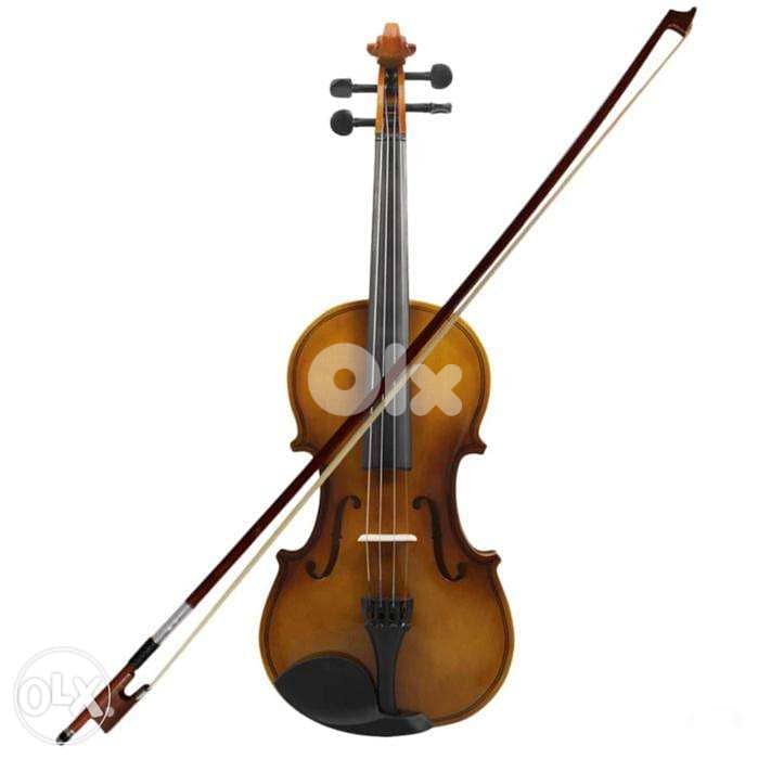 Professional Violin 2
