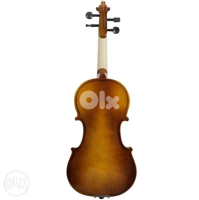 Professional Violin 4