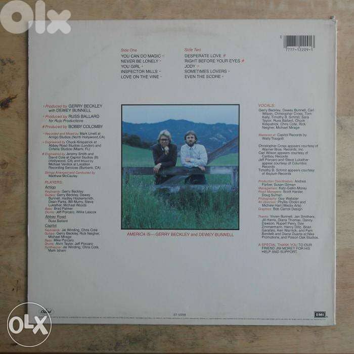 america "view from the ground' vinyl 1