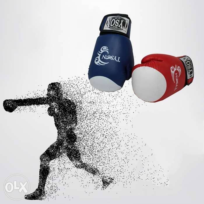 Boxing gloves ( Tyson ) all sizes available 0