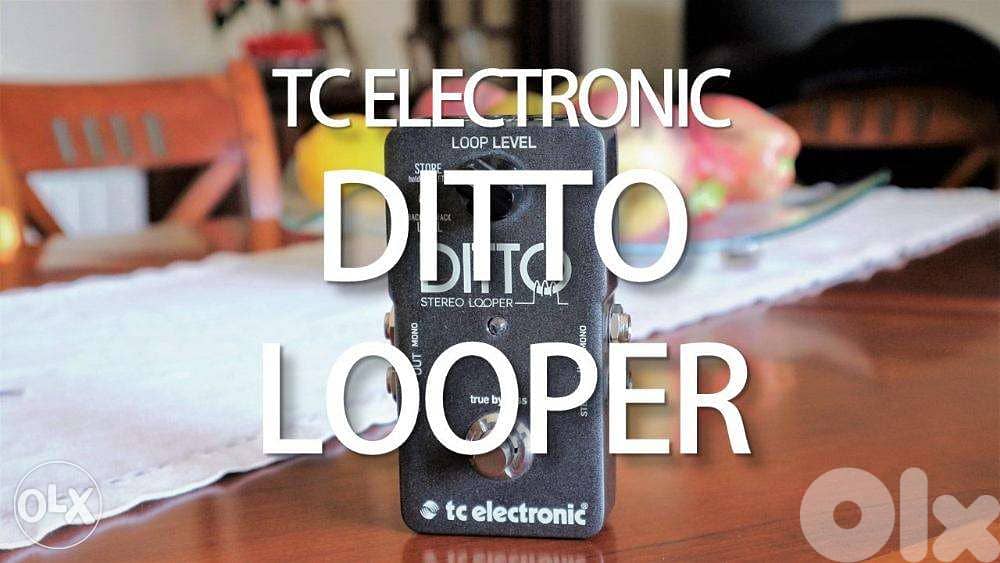 TC Electronic Ditto Looper Pedal,Compact looper pedal for guitar &Bass 1