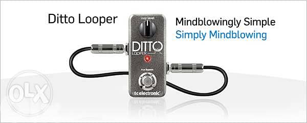 TC Electronic Ditto Looper Pedal,Compact looper pedal for guitar &Bass 2