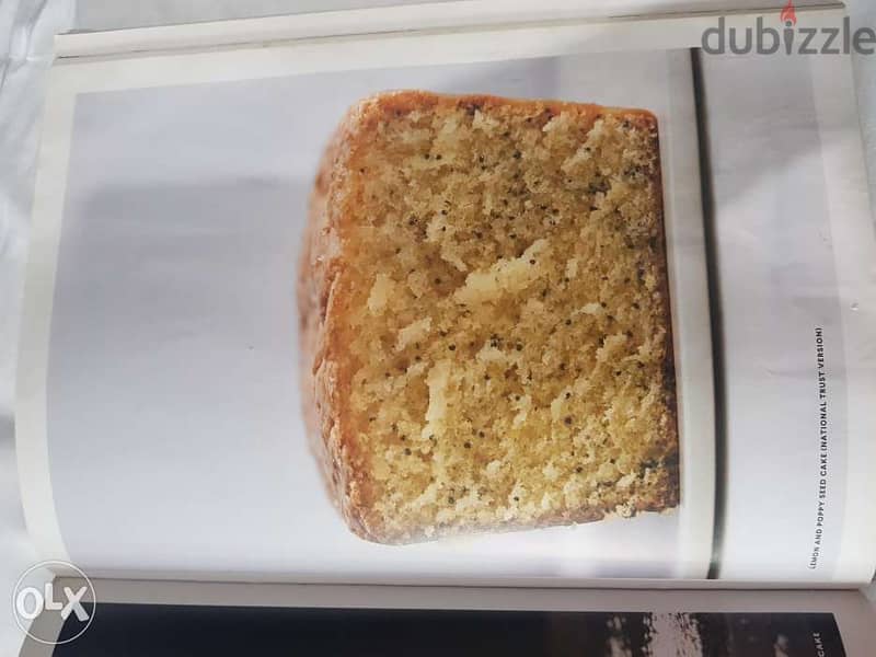 Sweet all pastry related (370 pages) 4