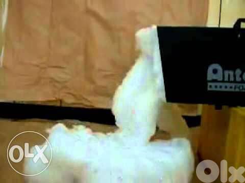 foam machine Antari s120 2