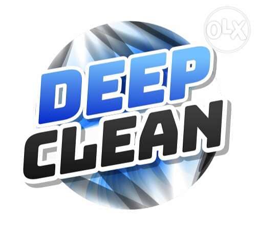 Professional CLeaners 0