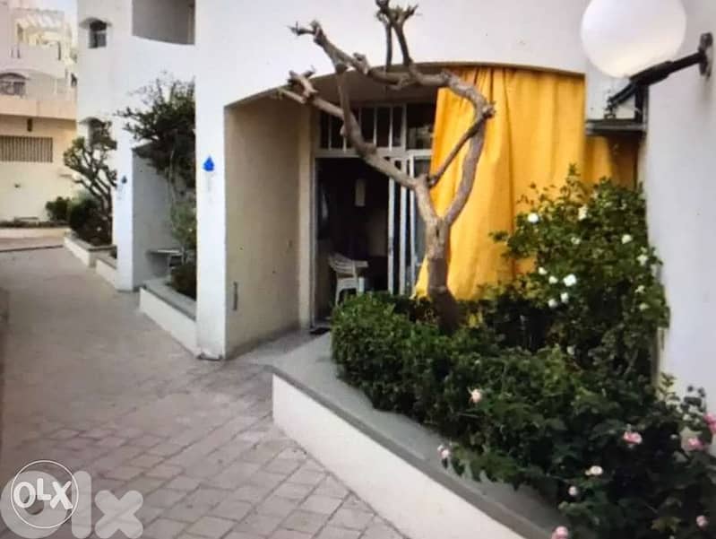 Chalet Rimal resorts for rent WINTER season 2025 (6 months ) 2