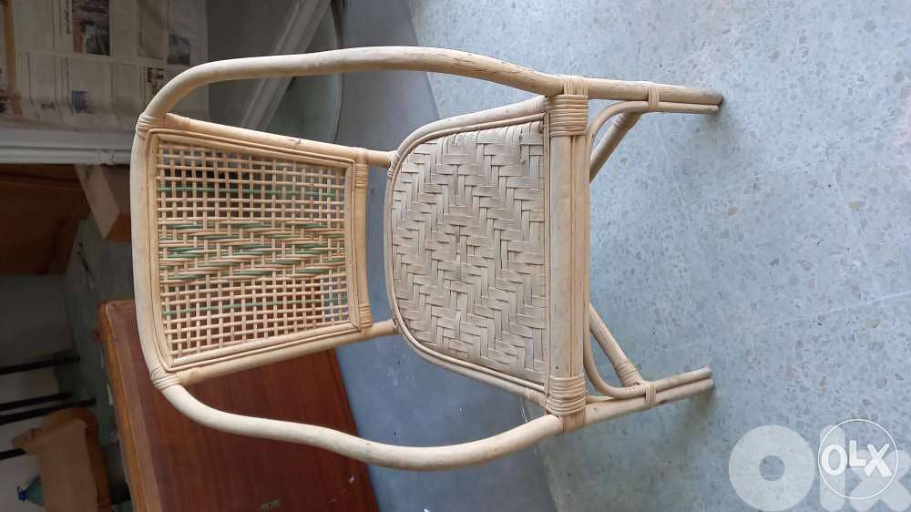 Bamboo خيزران 2