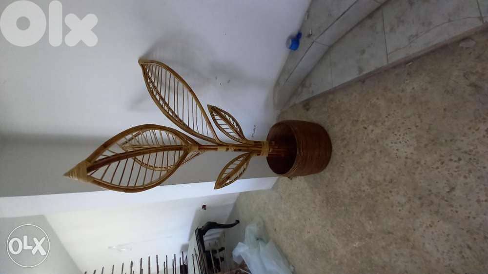 Bamboo خيزران 3