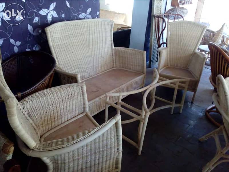 Bamboo خيزران 4