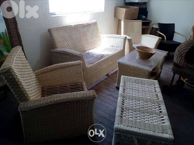 Bamboo خيزران 5