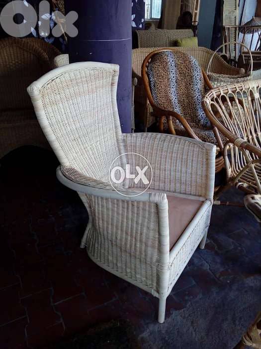 Bamboo خيزران 7