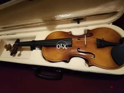 Acoustic Brown Violin 4/4 ON SALE 0