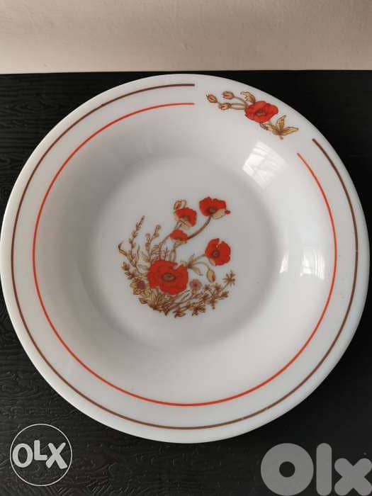 12 Vintage Arcopal milk glass dinner plates 0