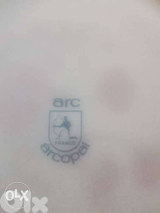 12 Vintage Arcopal milk glass dinner plates 2